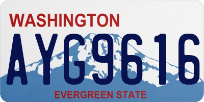 WA license plate AYG9616
