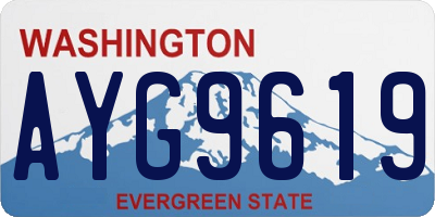 WA license plate AYG9619