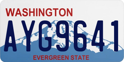 WA license plate AYG9641
