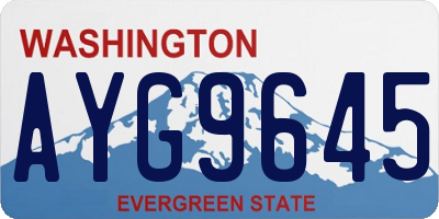 WA license plate AYG9645