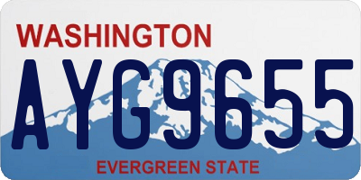WA license plate AYG9655