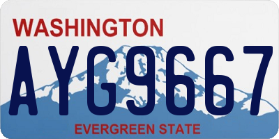WA license plate AYG9667