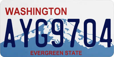 WA license plate AYG9704