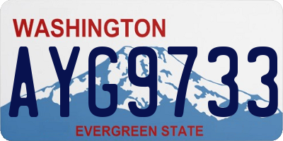 WA license plate AYG9733