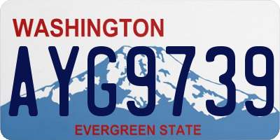 WA license plate AYG9739
