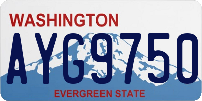 WA license plate AYG9750