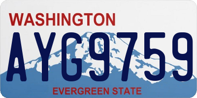 WA license plate AYG9759