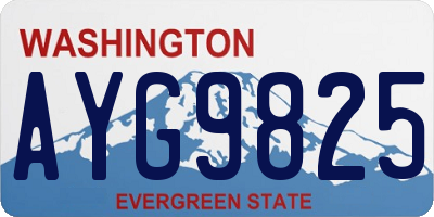 WA license plate AYG9825