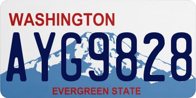 WA license plate AYG9828