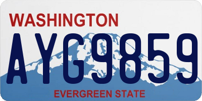 WA license plate AYG9859