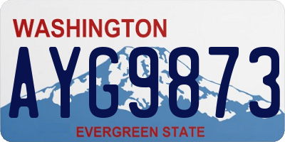 WA license plate AYG9873