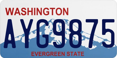 WA license plate AYG9875