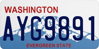 WA license plate AYG9891