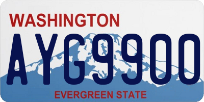 WA license plate AYG9900