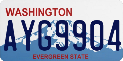 WA license plate AYG9904