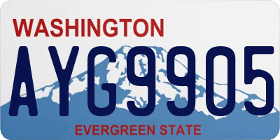 WA license plate AYG9905