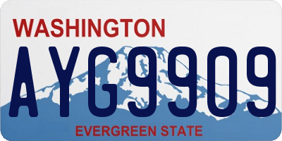 WA license plate AYG9909