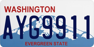 WA license plate AYG9911