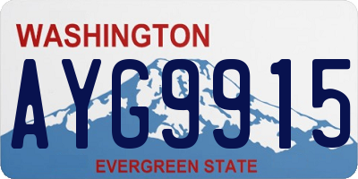 WA license plate AYG9915