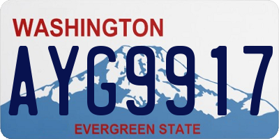 WA license plate AYG9917