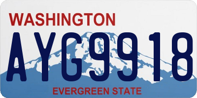 WA license plate AYG9918