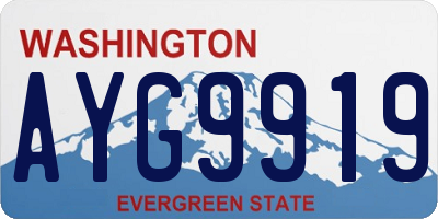 WA license plate AYG9919
