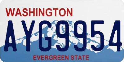 WA license plate AYG9954