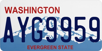WA license plate AYG9959