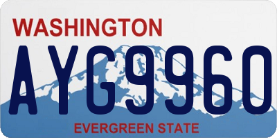WA license plate AYG9960