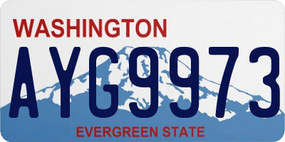 WA license plate AYG9973