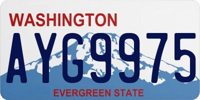 WA license plate AYG9975