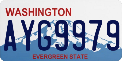 WA license plate AYG9979