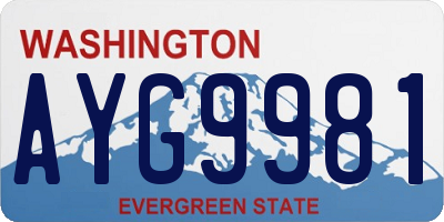 WA license plate AYG9981