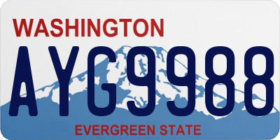 WA license plate AYG9988