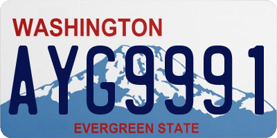WA license plate AYG9991