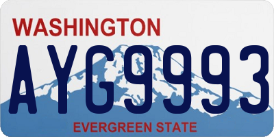 WA license plate AYG9993