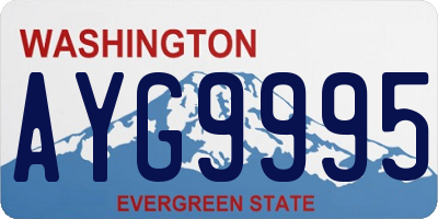 WA license plate AYG9995