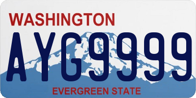 WA license plate AYG9999