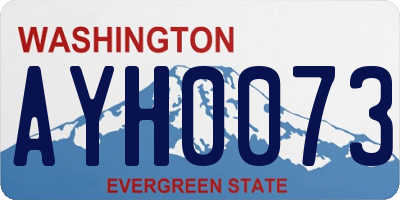 WA license plate AYH0073