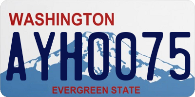 WA license plate AYH0075