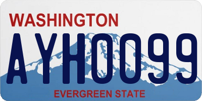 WA license plate AYH0099