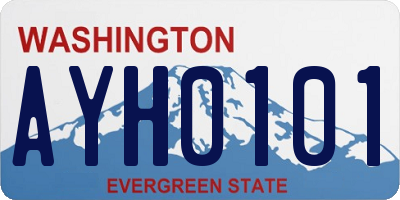WA license plate AYH0101