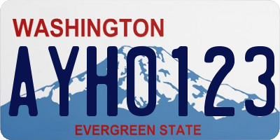 WA license plate AYH0123