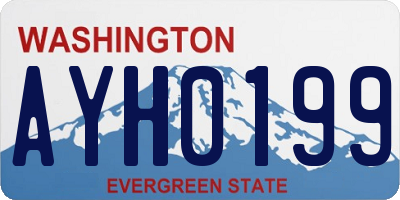 WA license plate AYH0199