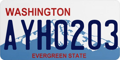 WA license plate AYH0203