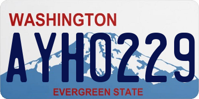 WA license plate AYH0229