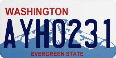 WA license plate AYH0231
