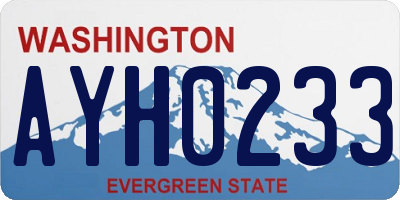 WA license plate AYH0233