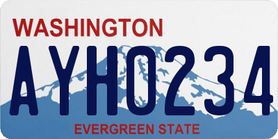 WA license plate AYH0234