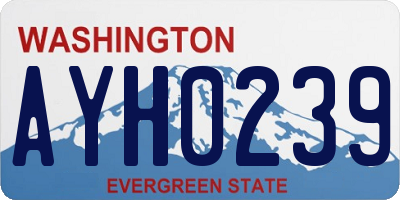 WA license plate AYH0239